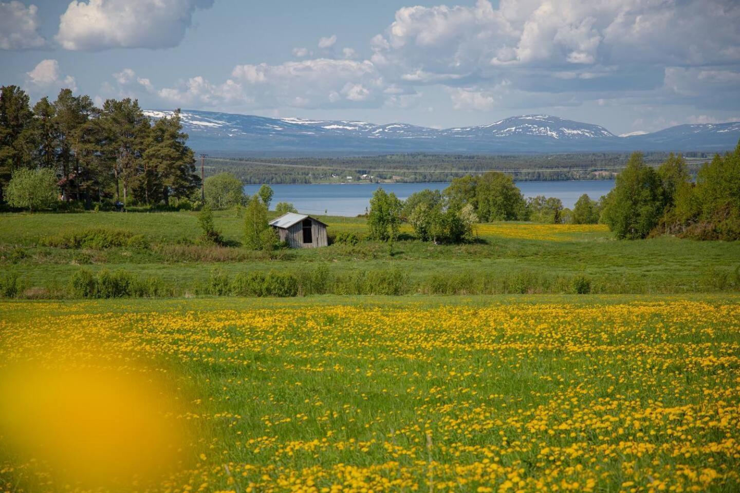 Cozy Mountain View Apartment Orrviken Kültér fotó